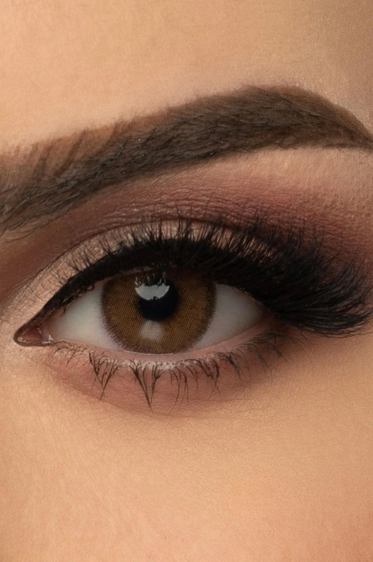 BROWNIE Haifa Cosmetic